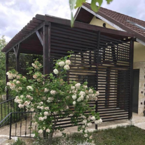 Cabana Breaza - SkyView Cottage
